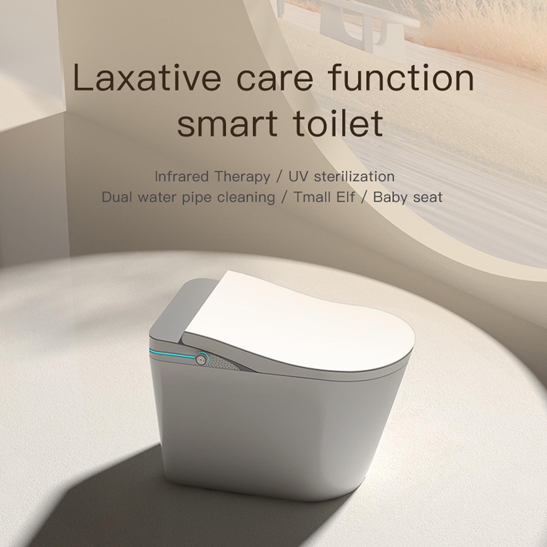 Imerse K1 Floor Mounted Smart Toilet