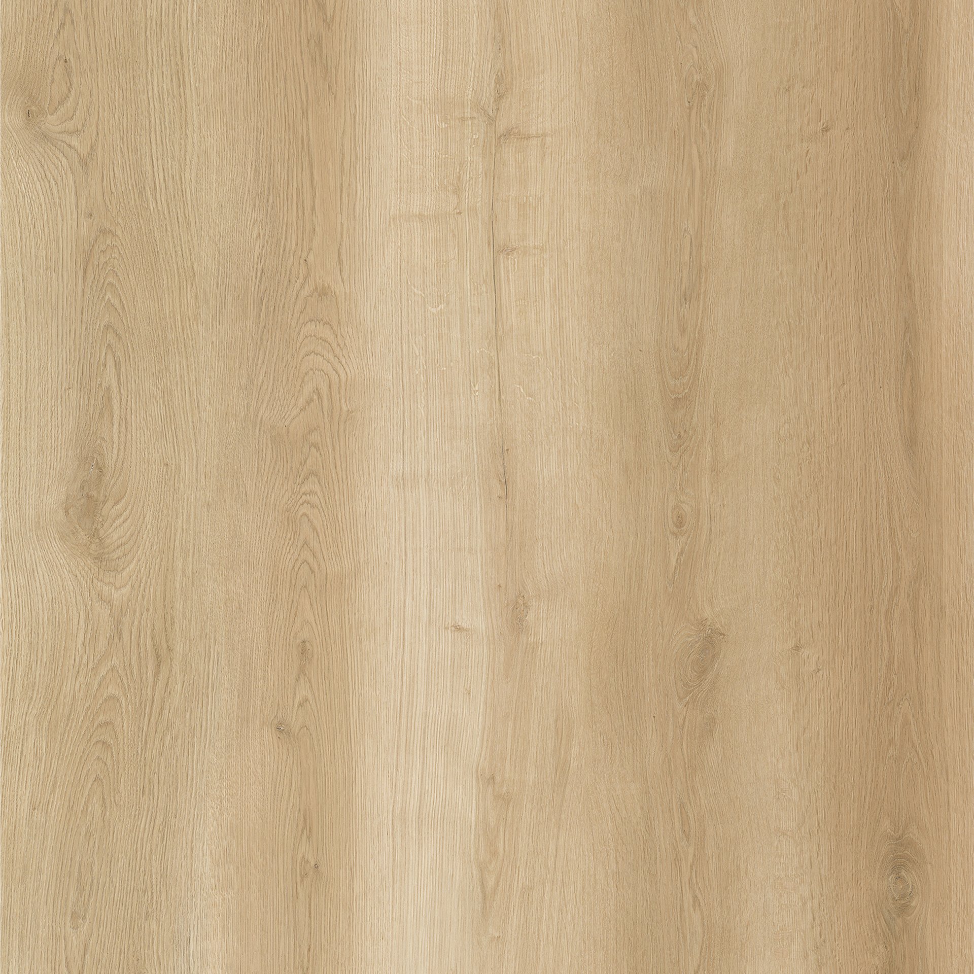 Sole - Request Quote