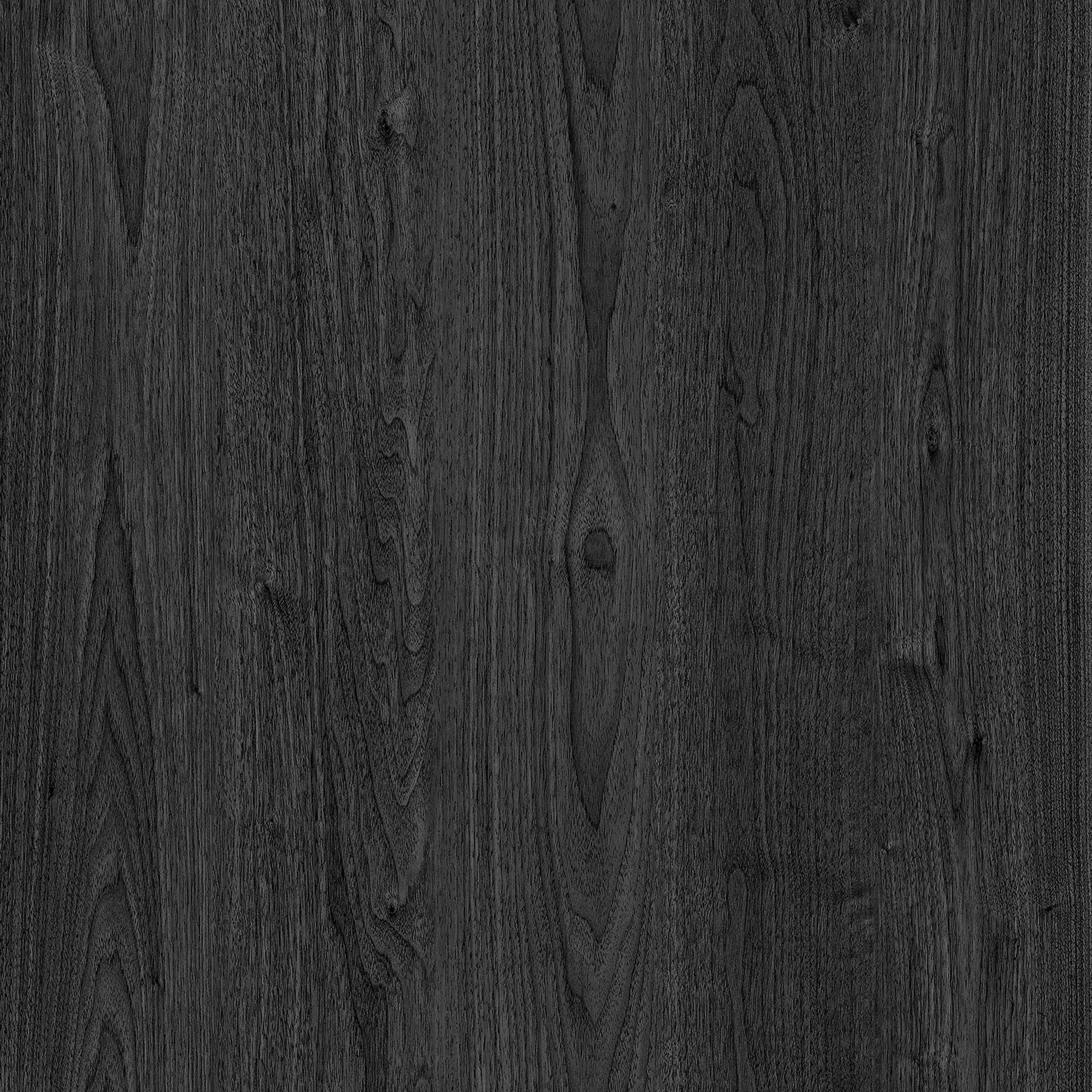 Bella - Request Quote